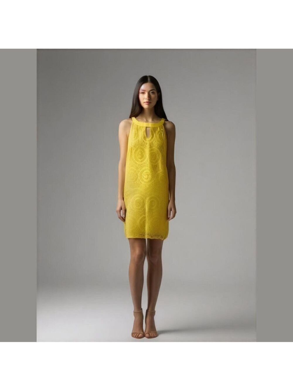 NWT Plus SZ TACERA LACE OVERLAY DRESS 2X
